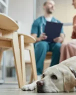 wachtkamer met dierenarts in gesprek met klant met hond